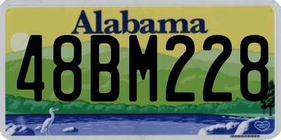 AL license plate 48BM228