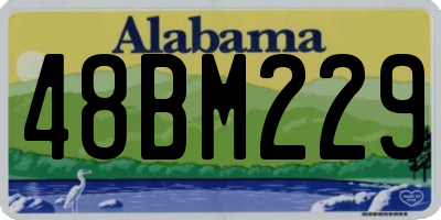 AL license plate 48BM229