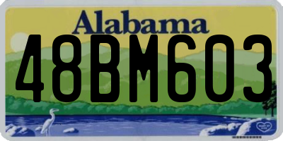 AL license plate 48BM603