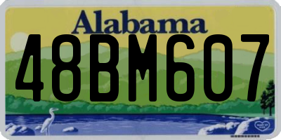 AL license plate 48BM607