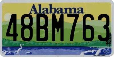 AL license plate 48BM763