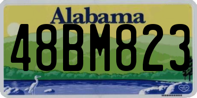 AL license plate 48BM823