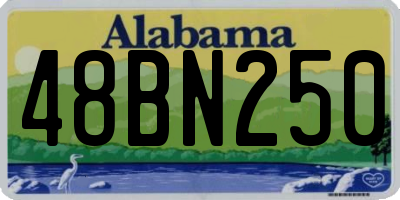 AL license plate 48BN250