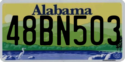 AL license plate 48BN503