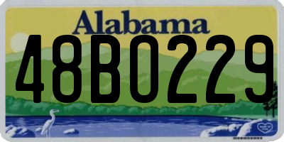 AL license plate 48BO229