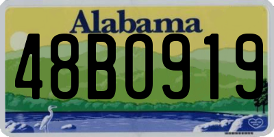 AL license plate 48BO919