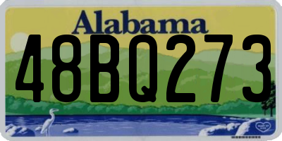 AL license plate 48BQ273