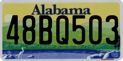 AL license plate 48BQ503