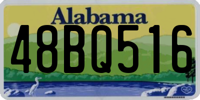 AL license plate 48BQ516