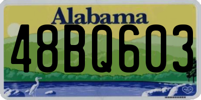 AL license plate 48BQ603