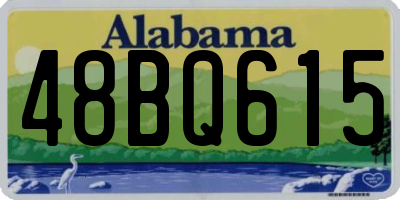 AL license plate 48BQ615