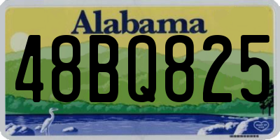 AL license plate 48BQ825