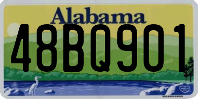 AL license plate 48BQ901