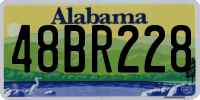 AL license plate 48BR228