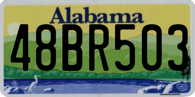 AL license plate 48BR503