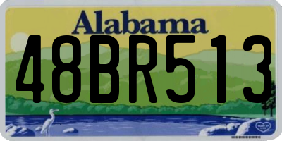 AL license plate 48BR513