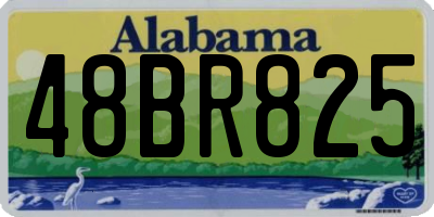 AL license plate 48BR825