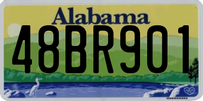 AL license plate 48BR901