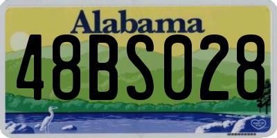 AL license plate 48BS028