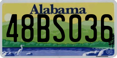 AL license plate 48BS036