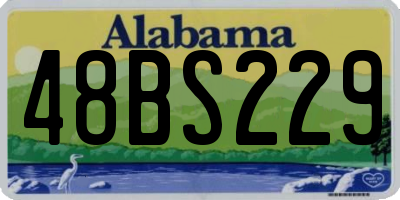 AL license plate 48BS229