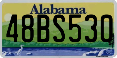 AL license plate 48BS530