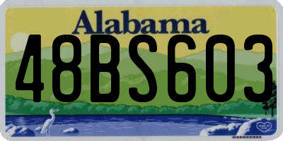 AL license plate 48BS603