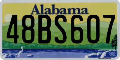 AL license plate 48BS607