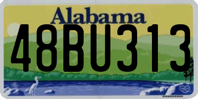 AL license plate 48BU313
