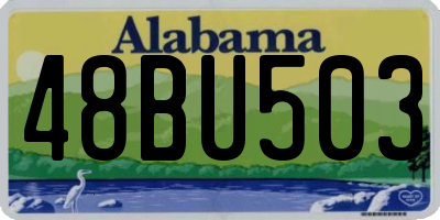 AL license plate 48BU503