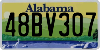AL license plate 48BV307