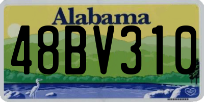 AL license plate 48BV310