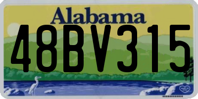 AL license plate 48BV315