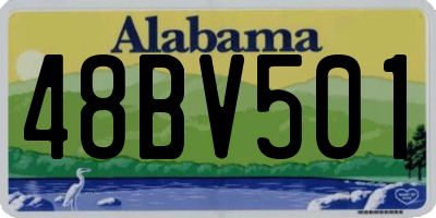 AL license plate 48BV501