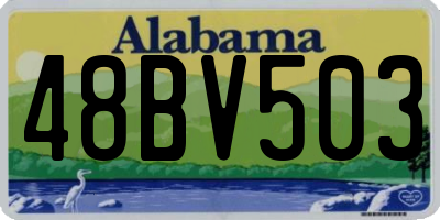 AL license plate 48BV503
