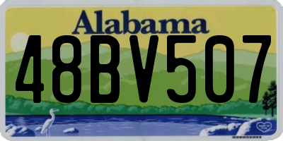 AL license plate 48BV507
