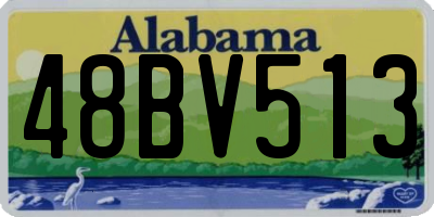 AL license plate 48BV513