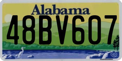 AL license plate 48BV607