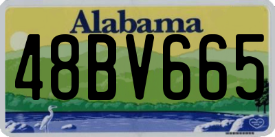 AL license plate 48BV665