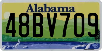 AL license plate 48BV709