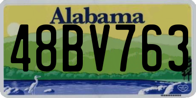 AL license plate 48BV763
