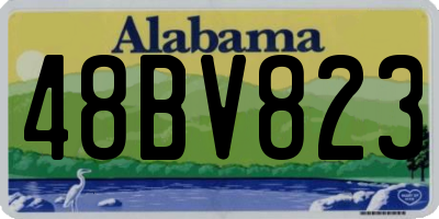 AL license plate 48BV823