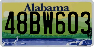 AL license plate 48BW603