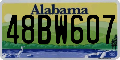AL license plate 48BW607