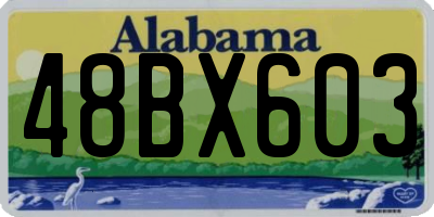 AL license plate 48BX603