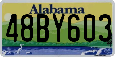 AL license plate 48BY603