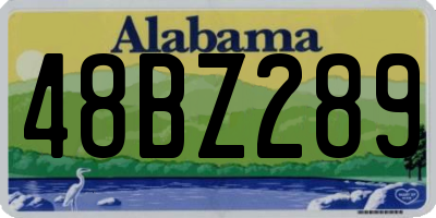 AL license plate 48BZ289