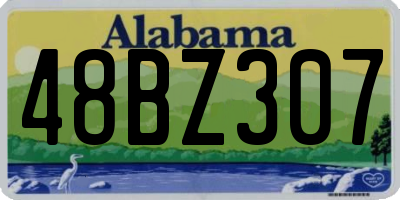 AL license plate 48BZ307