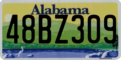 AL license plate 48BZ309