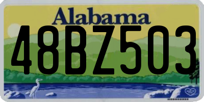 AL license plate 48BZ503